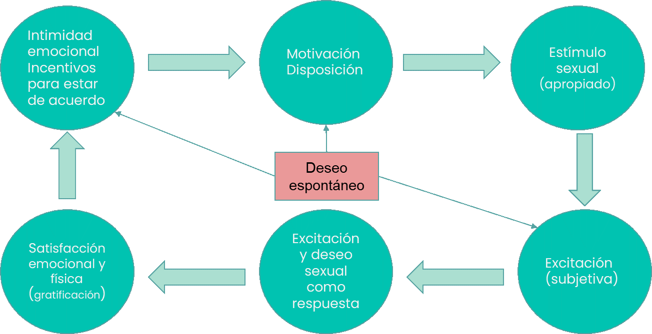 Modelo de respuesta sexual